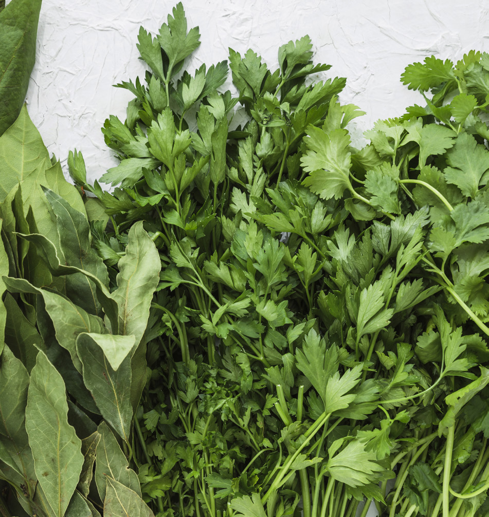 Fresh parsley and coriander